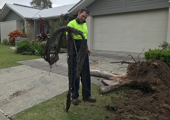 Blocked Drains are Unblocked by Brisbane Blocked Drain Staff